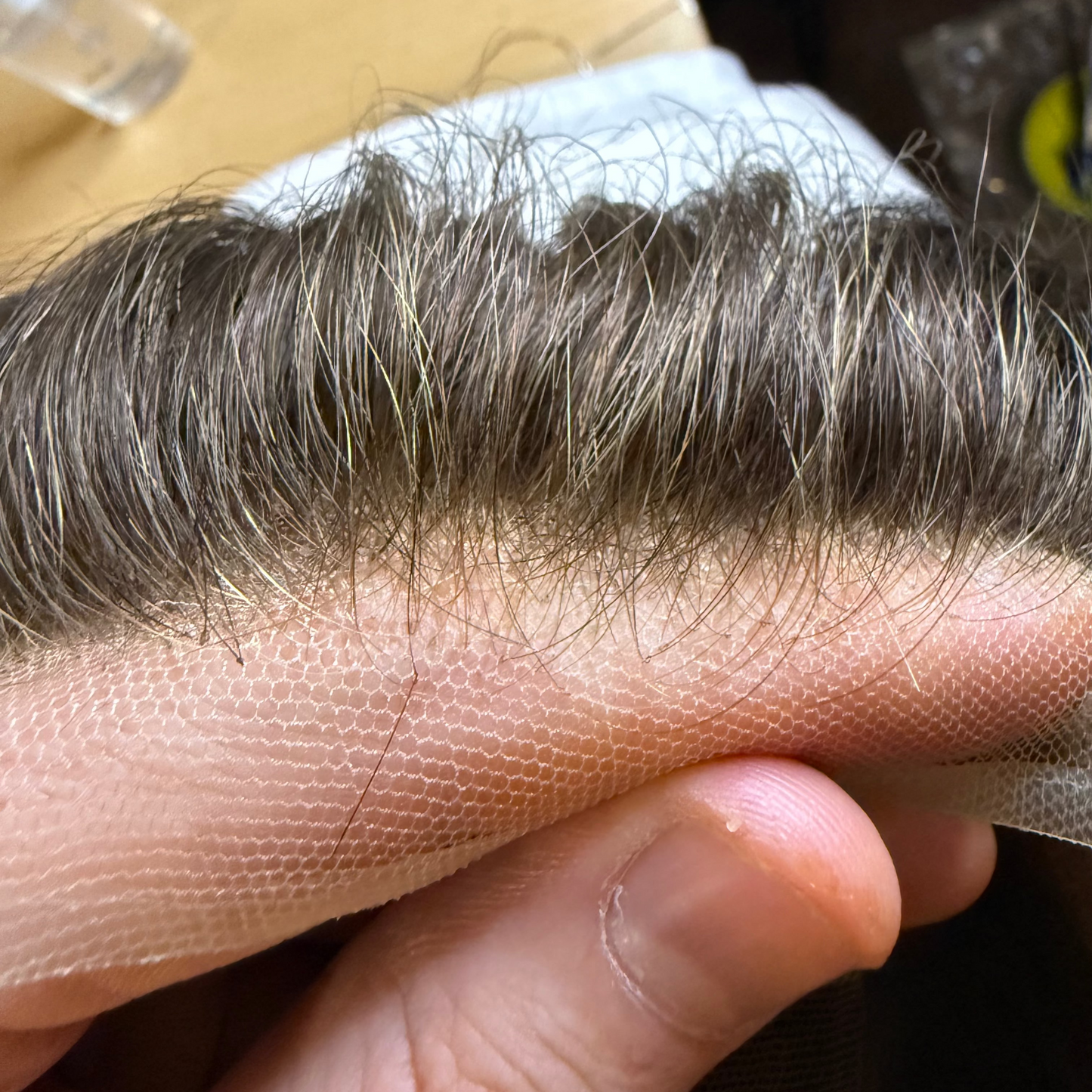 HORSE SHOE - Hybrid